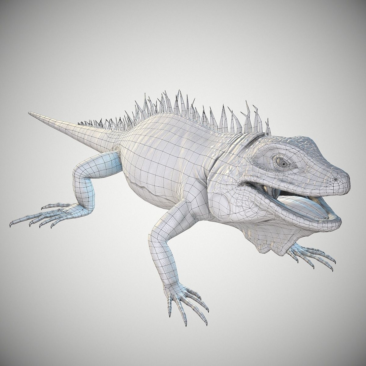 American Iguana Low-poly 3D model_11