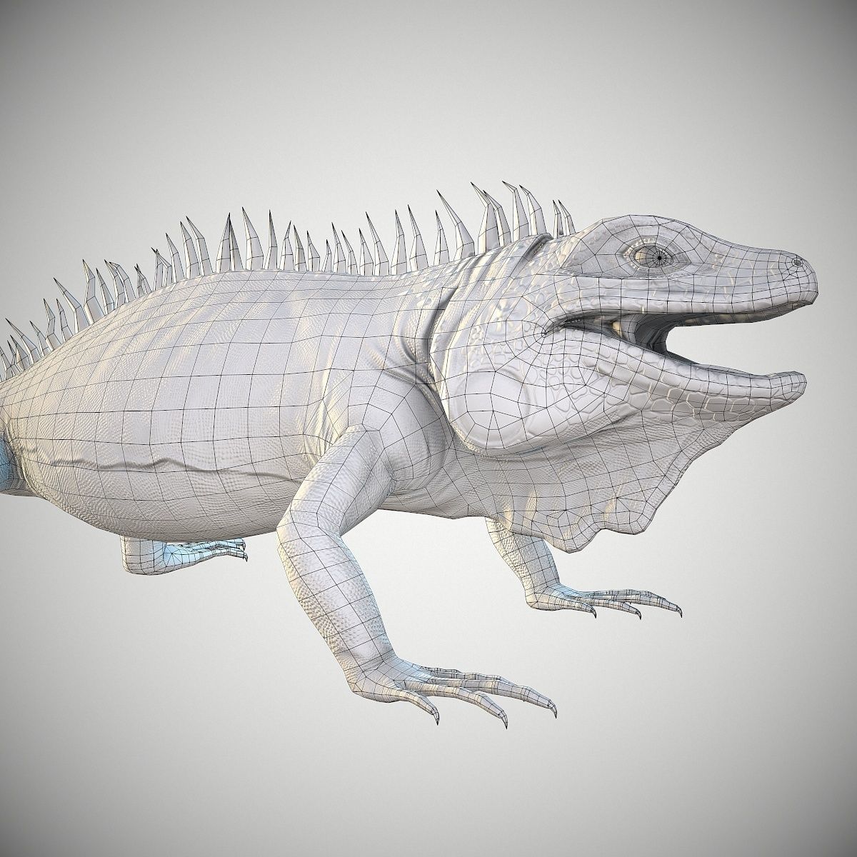 American Iguana Low-poly 3D model_13