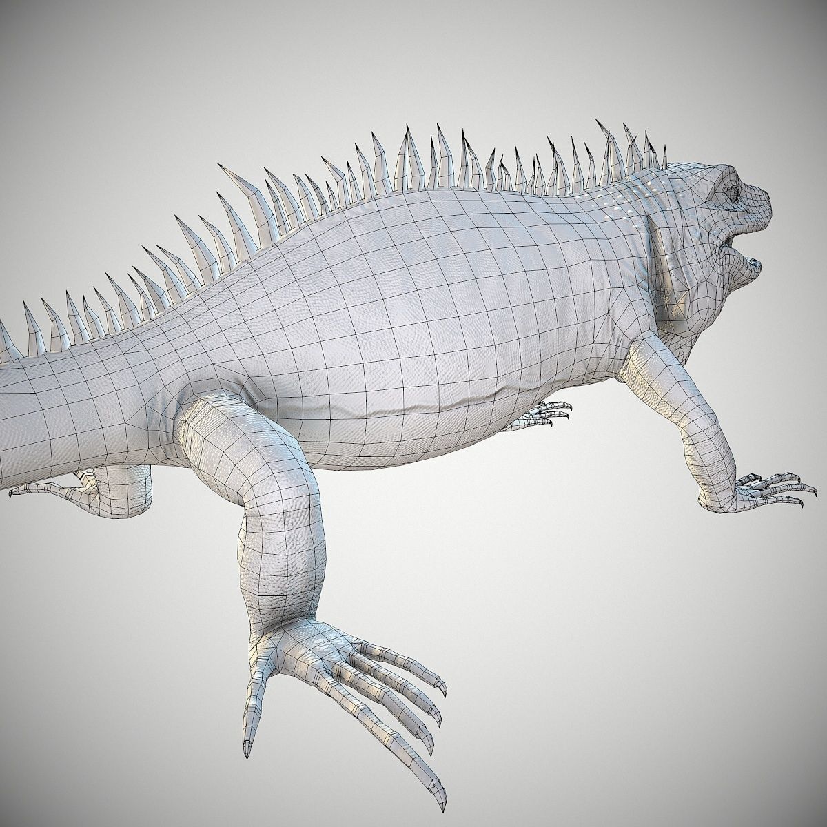 American Iguana Low-poly 3D model_14