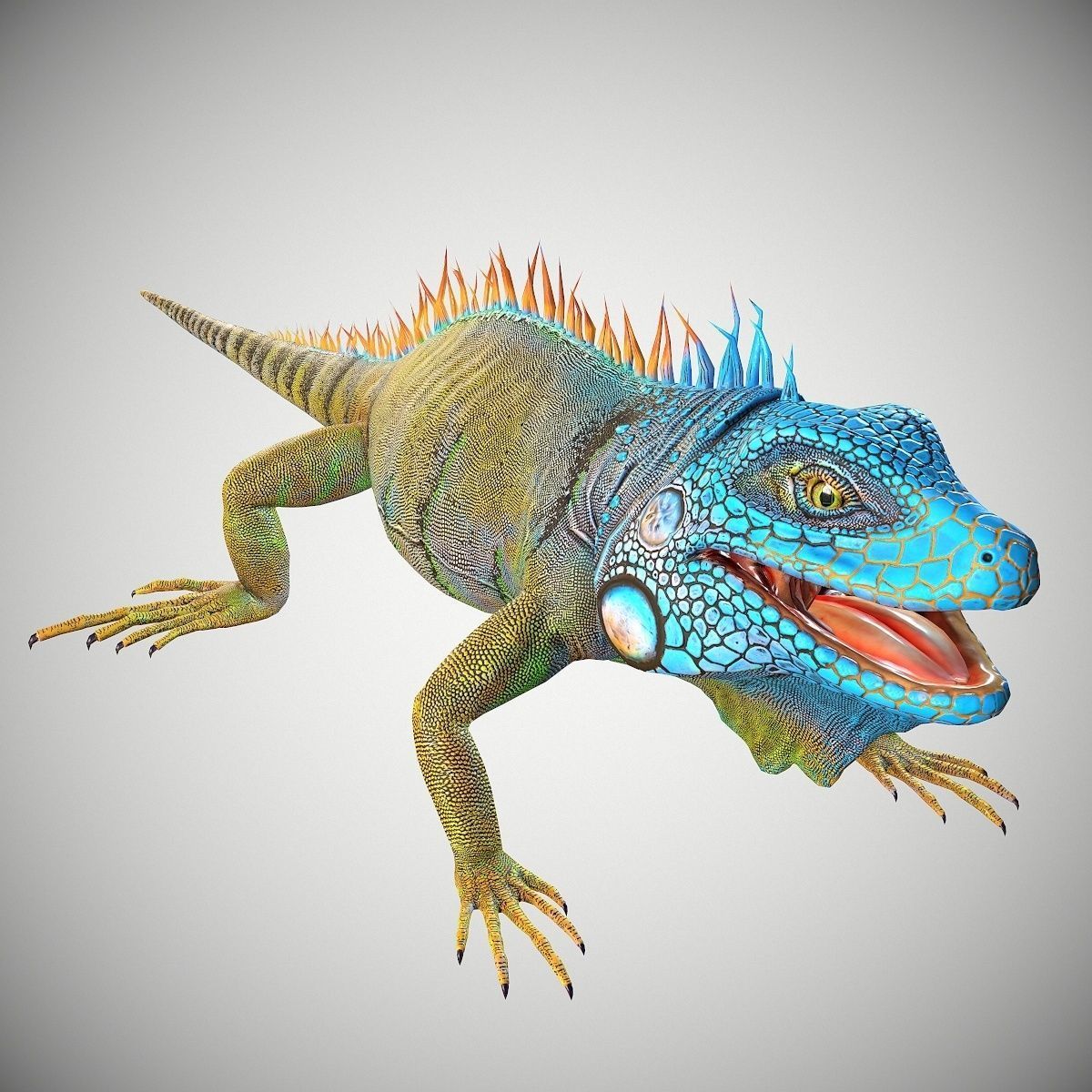 American Iguana Low-poly 3D model_1
