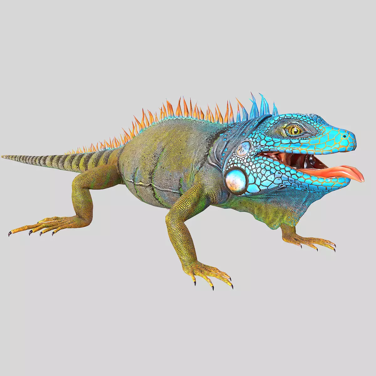 American Iguana Low-poly 3D model_0
