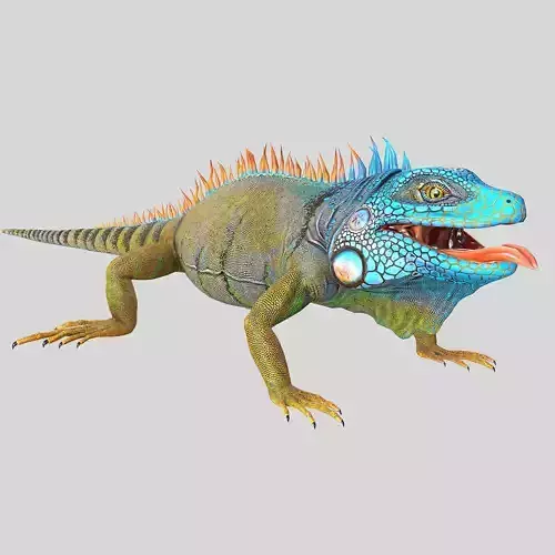 American Iguana Low-poly 3D model