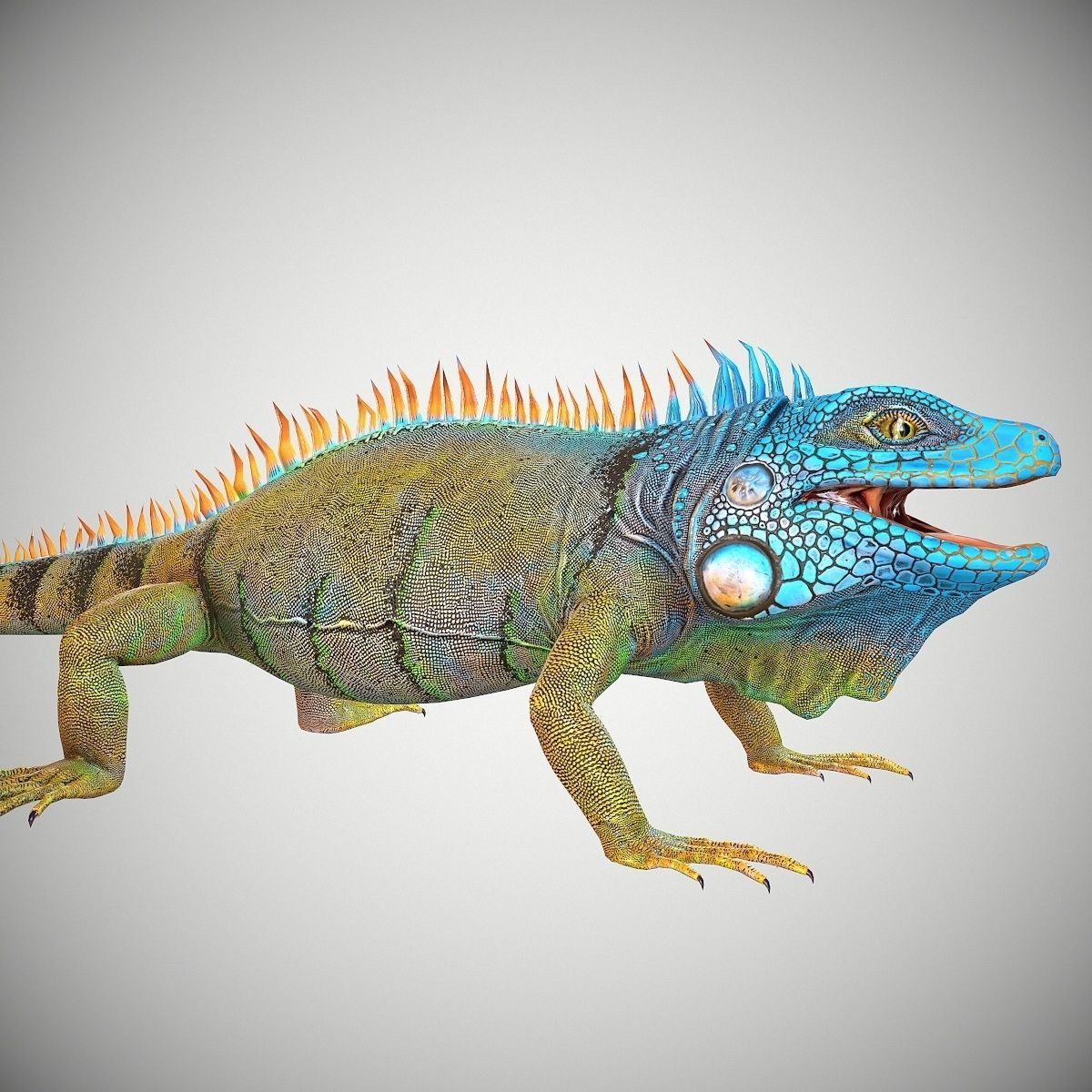 American Iguana Low-poly 3D model_2