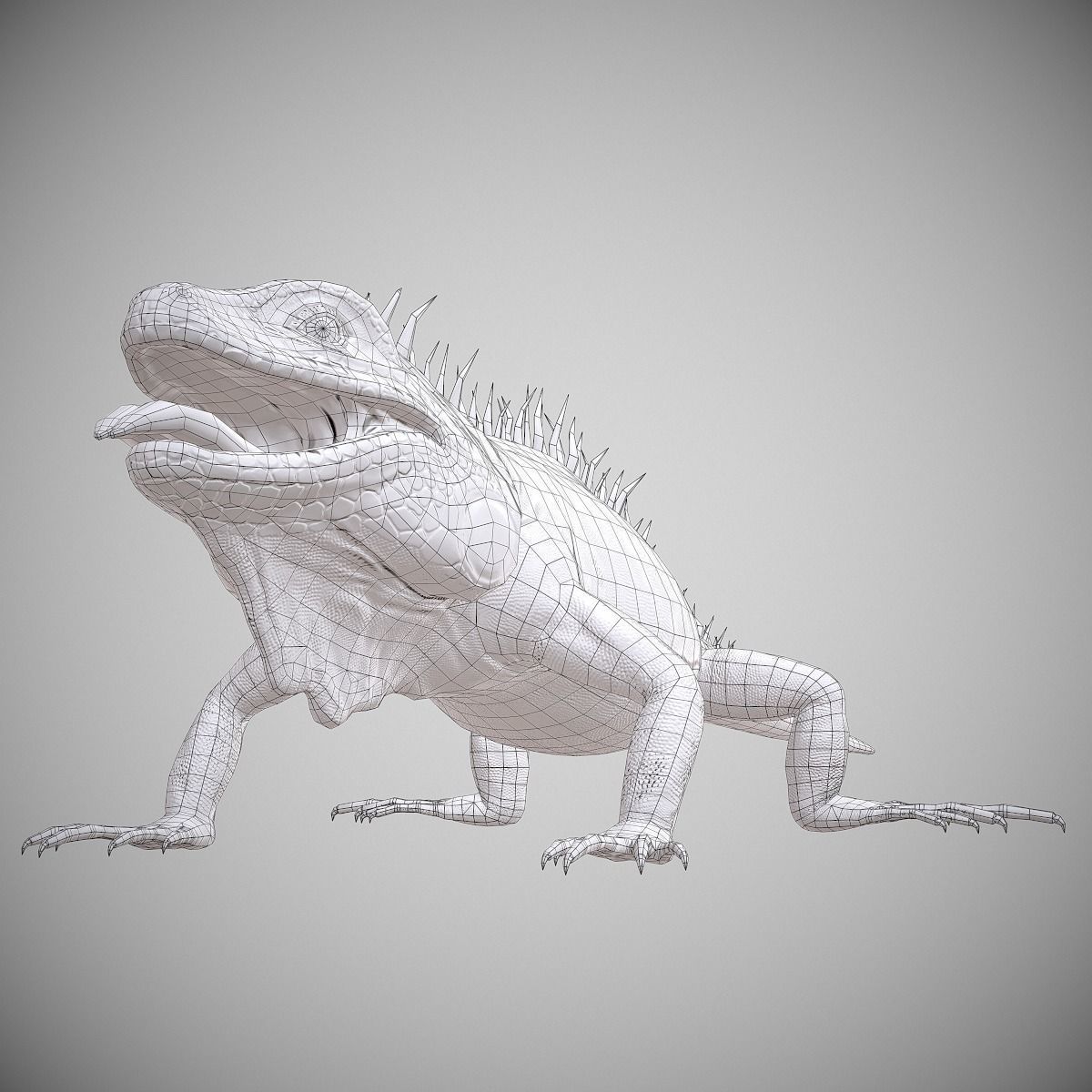 American Iguana Low-poly 3D model_12