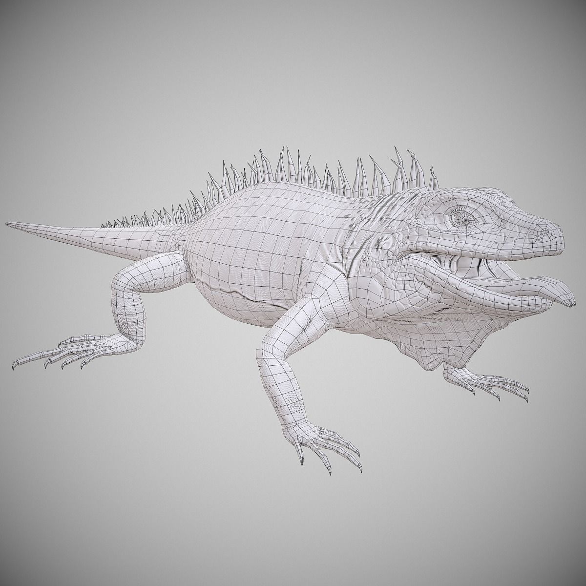 American Iguana Low-poly 3D model_10