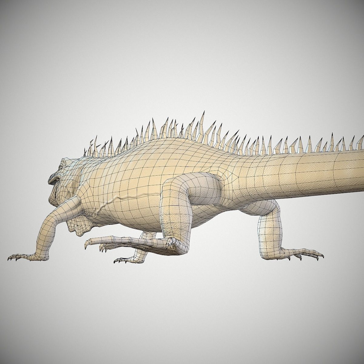 American Iguana Low-poly 3D model_15