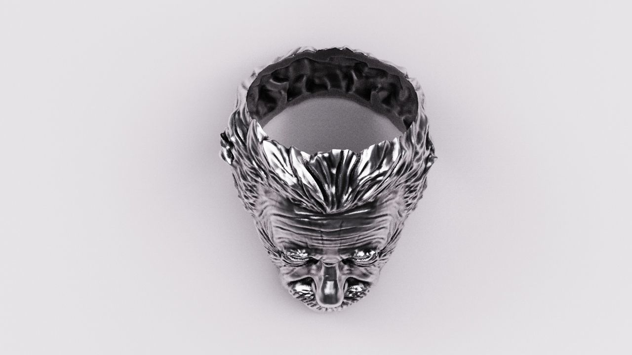 Einstein ring 3D print model_5