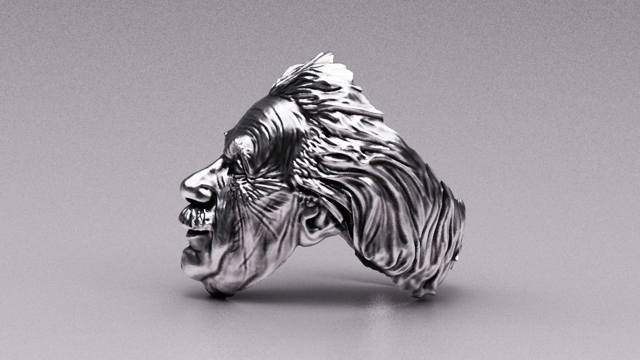 Einstein ring 3D print model_3