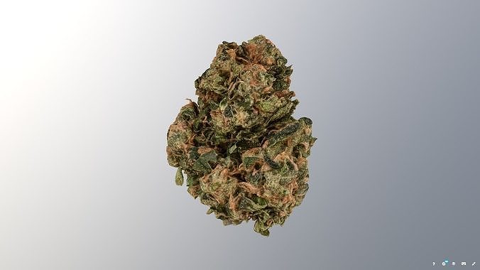 Marijuana Flower 3 3D model