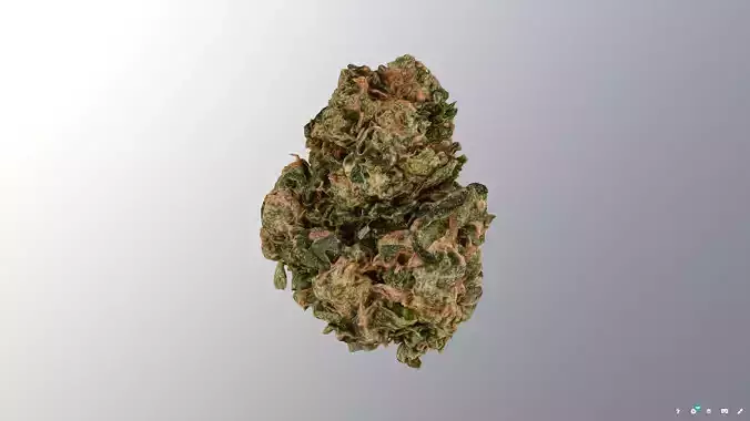 Marijuana Flower 3 3D model