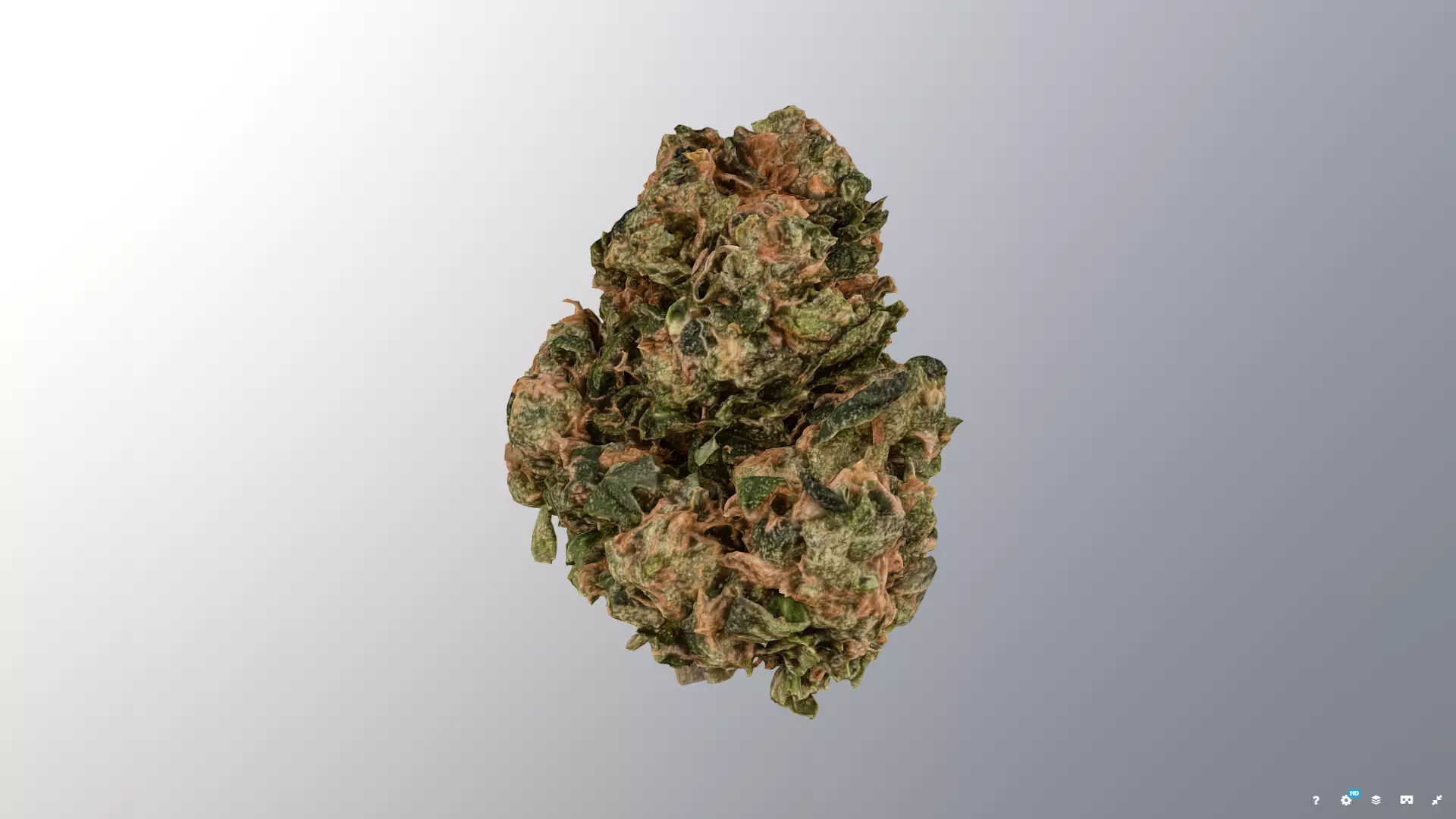 Marijuana Flower 3 3D model_0