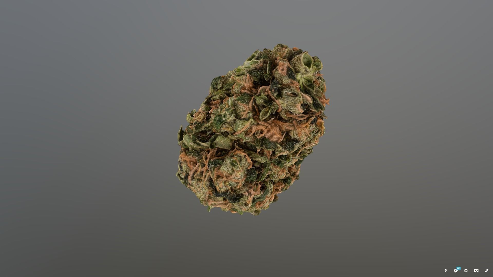 Marijuana Flower 3 3D model_1