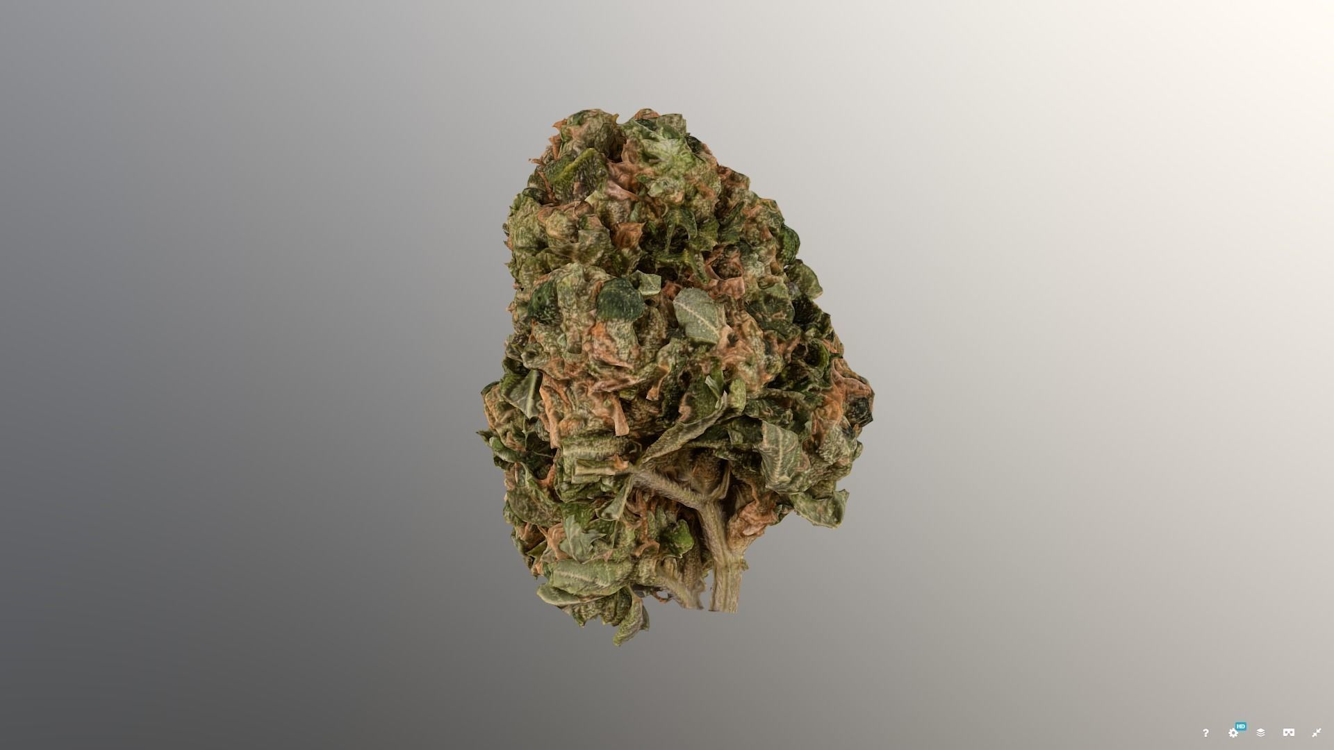 Marijuana Flower 3 3D model_3