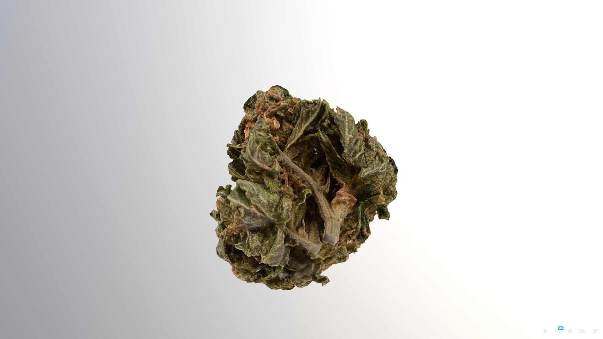 Marijuana Flower 3 3D model_2