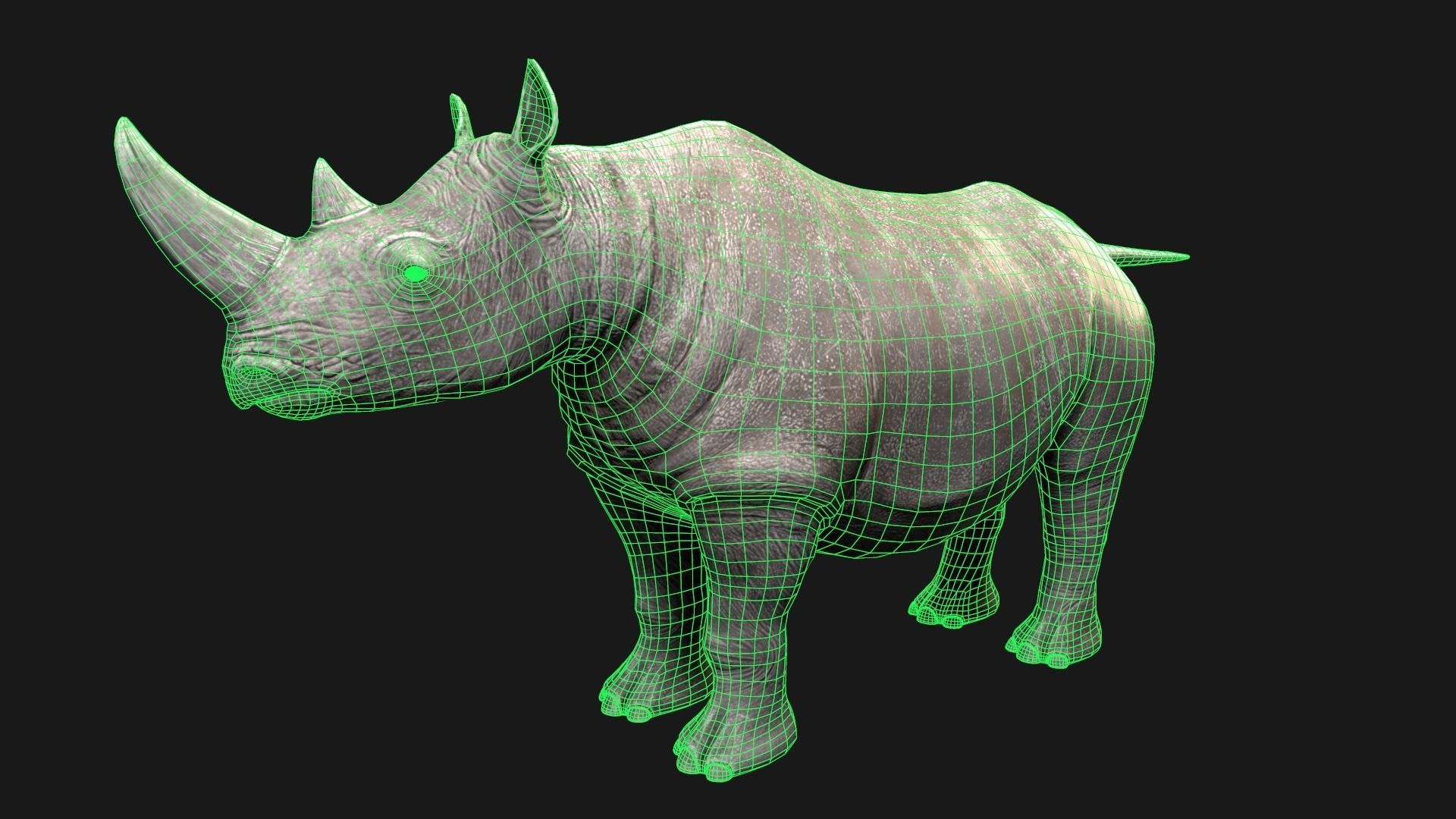 Rhino rhinoceros Low-poly 3D model_5