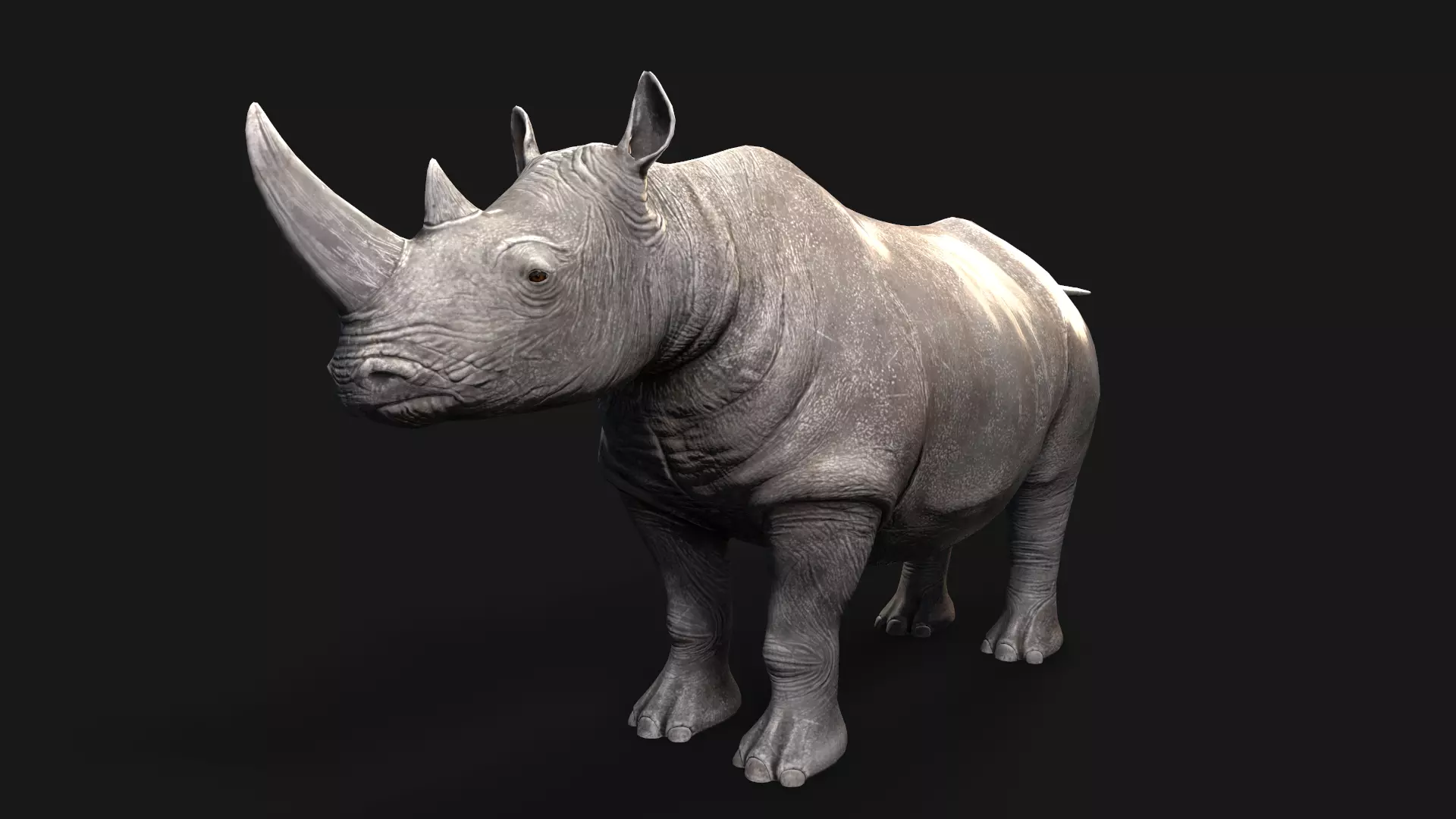 Rhino rhinoceros Low-poly 3D model_0