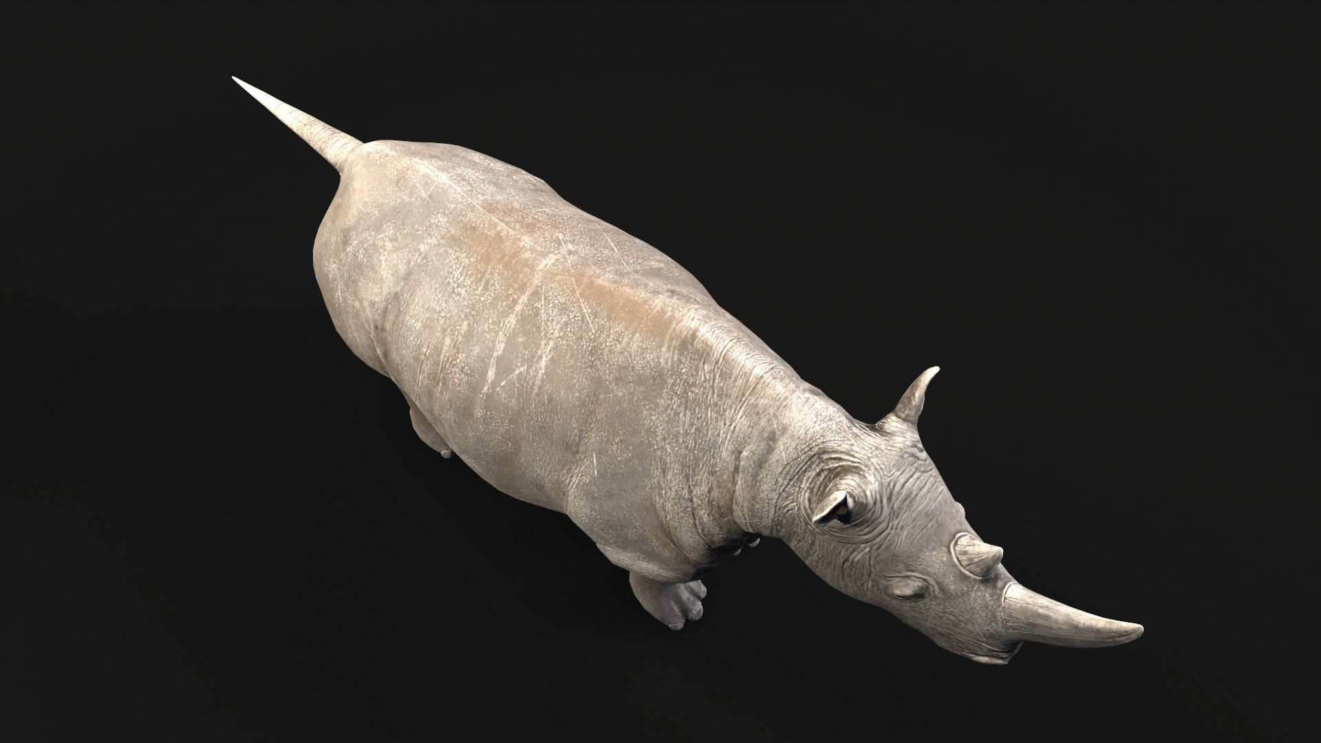 Rhino rhinoceros Low-poly 3D model_4