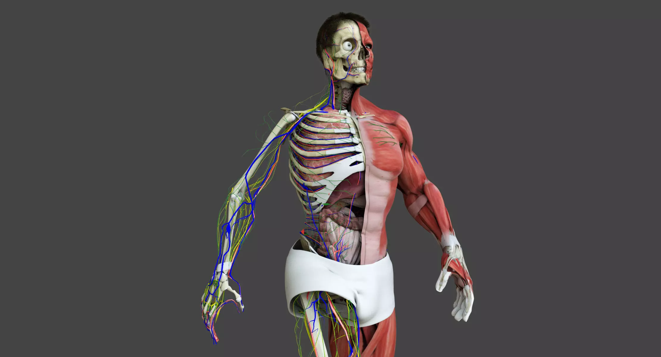 Motion Capture Male Anatomy Low-poly 3D model