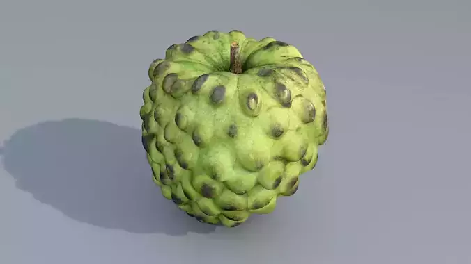 Custard Apple 3D model 3D model