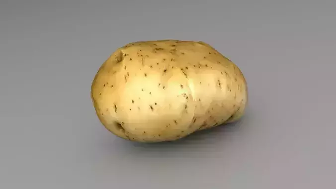 Potato 3D model