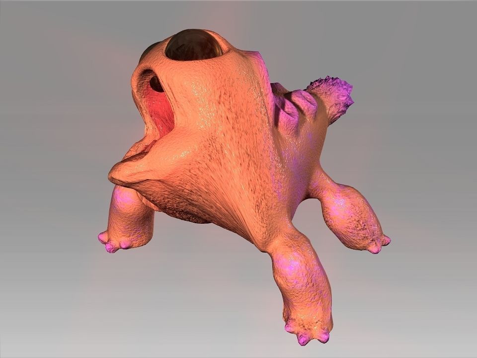 Lizard Fish 3D model_17