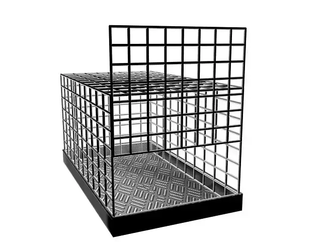 Steel Cage