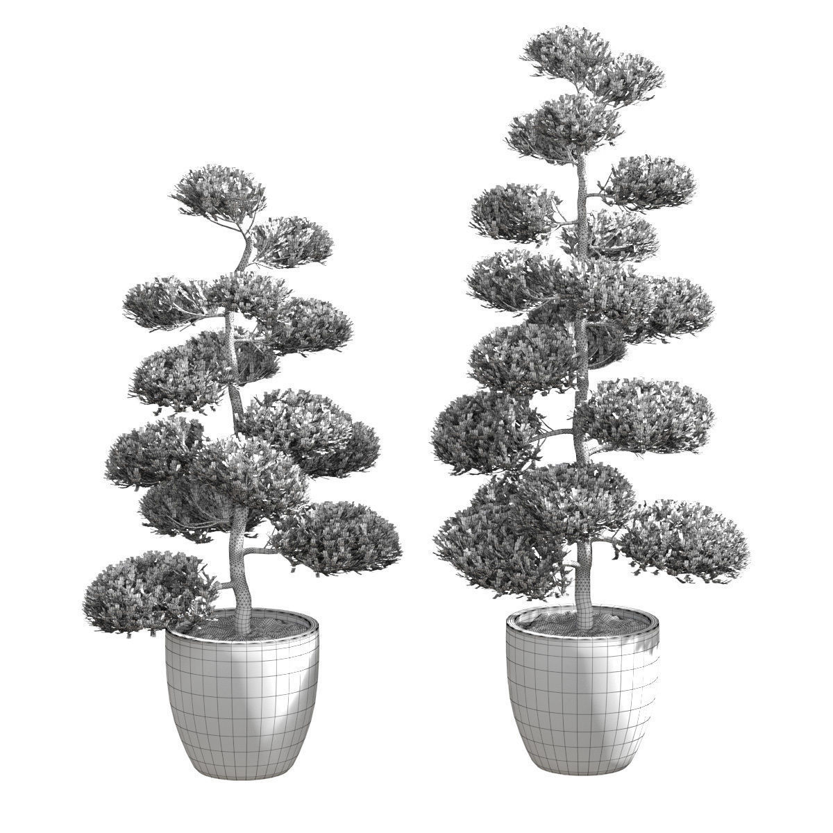 Bonsai with spherical branches - 2 models 3D model_3