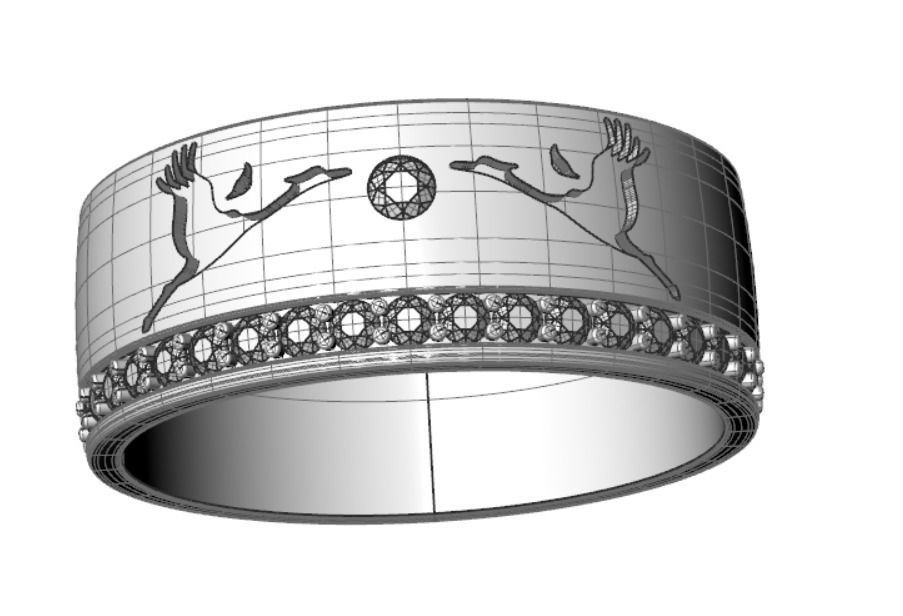 Ring pk 17 3D print model_20