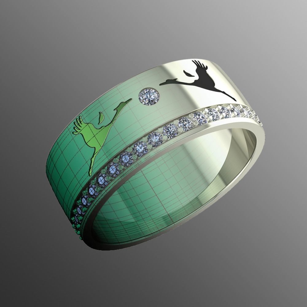 Ring pk 17 3D print model_1