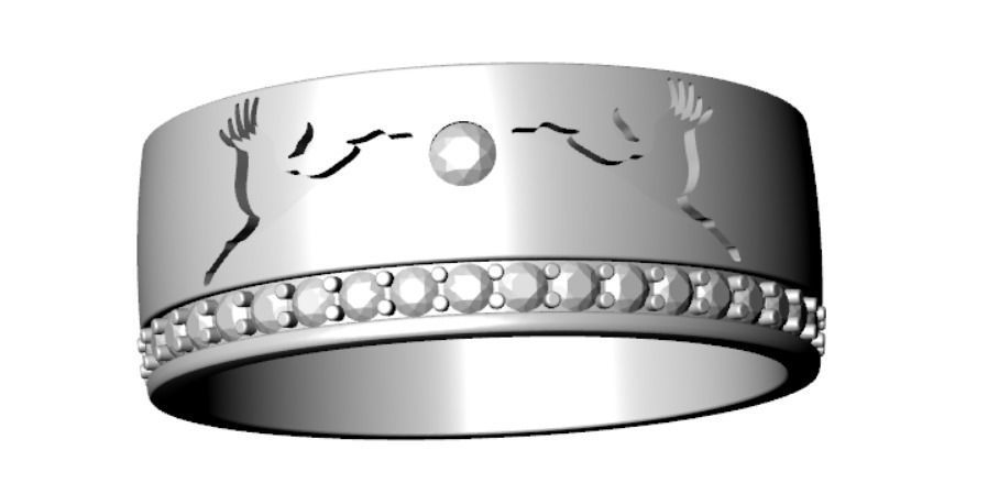 Ring pk 17 3D print model_19