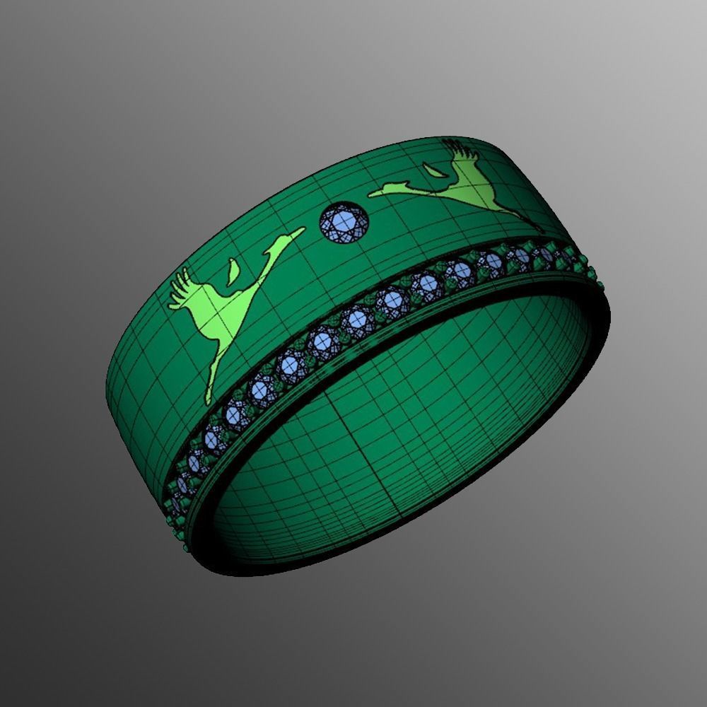 Ring pk 17 3D print model_2