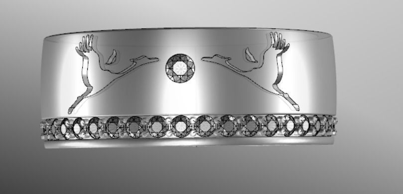 Ring pk 17 3D print model_12