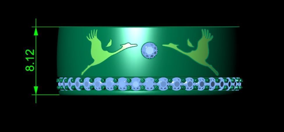 Ring pk 17 3D print model_3