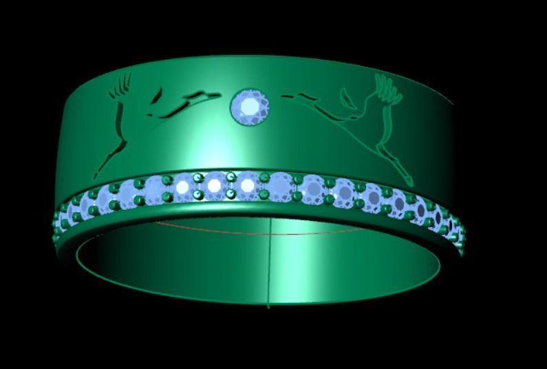 Ring pk 17 3D print model_7