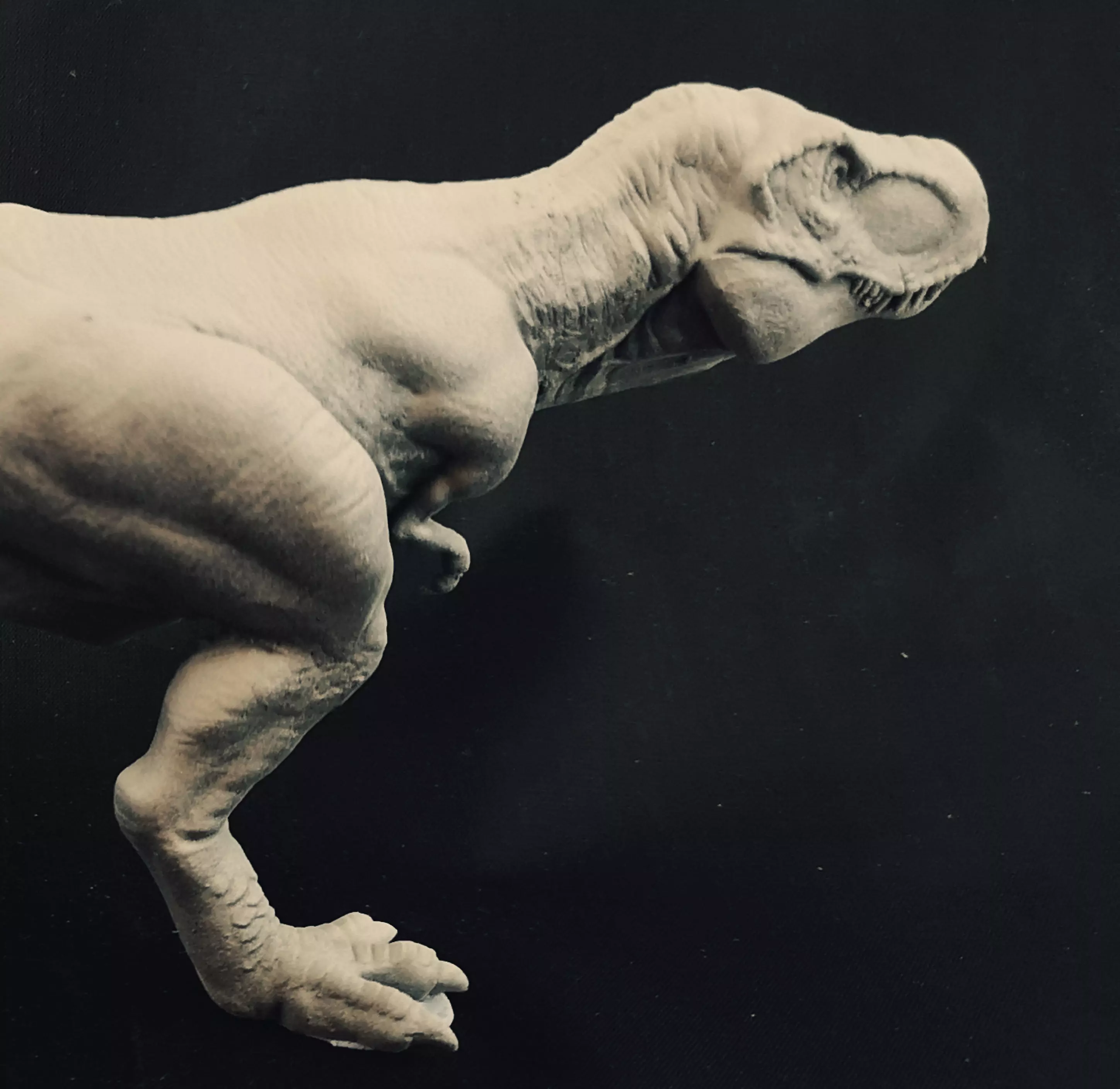 T-Rex 3D Printable Dinosaur Statue 3D print model_0