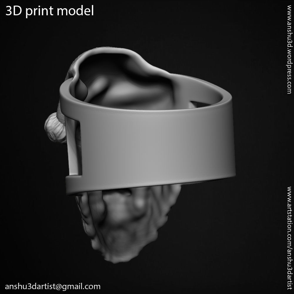 skull ring jewelry Santa claus  vol1 3D print model_11