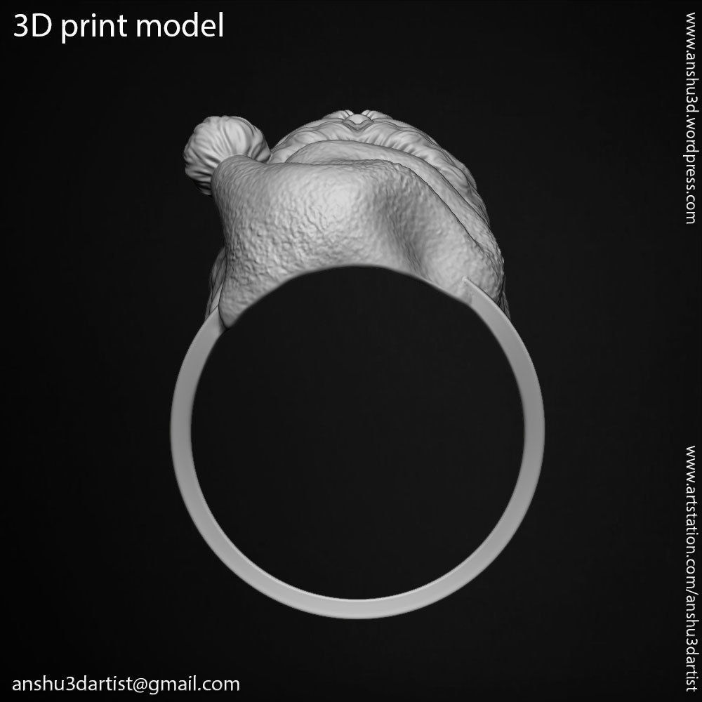 skull ring jewelry Santa claus  vol1 3D print model_13