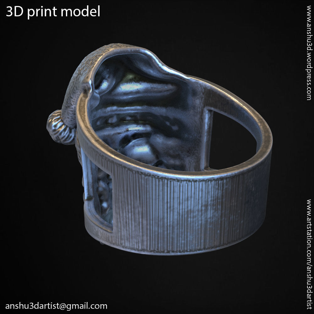 skull ring jewelry Santa claus  vol1 3D print model_7