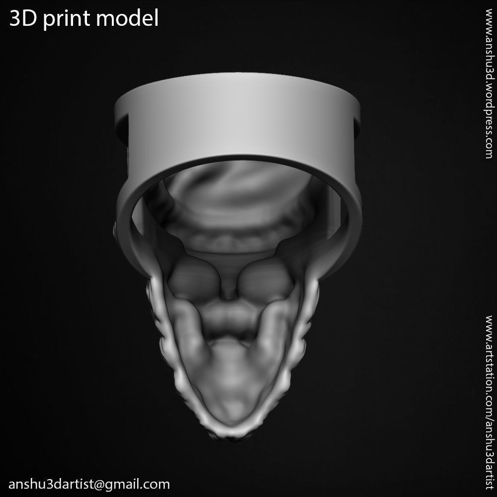 skull ring jewelry Santa claus  vol1 3D print model_12