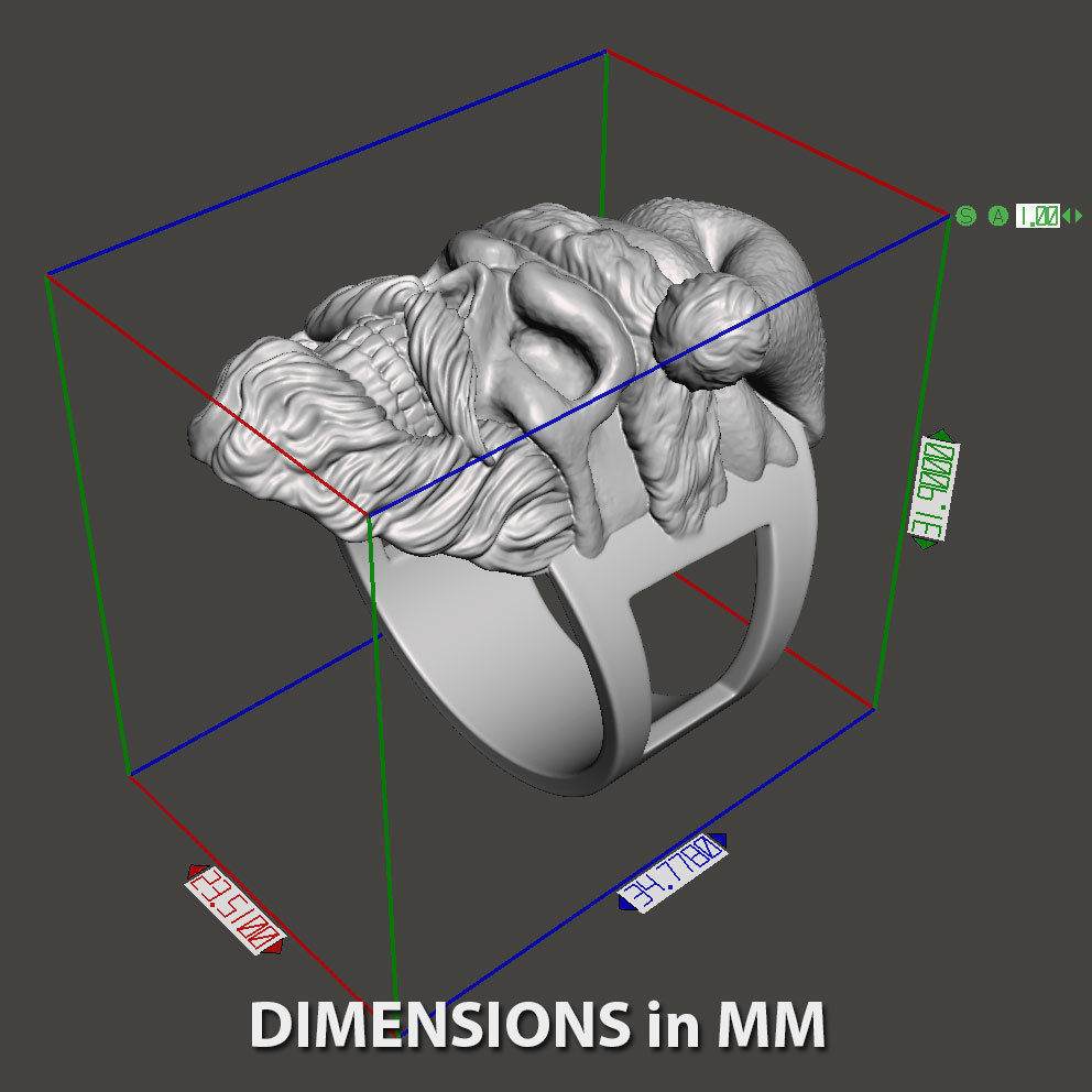 skull ring jewelry Santa claus  vol1 3D print model_17