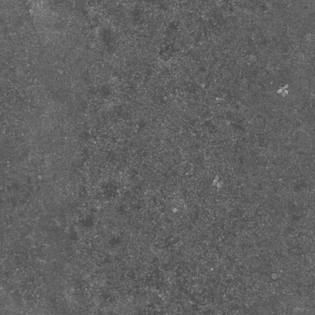 3D Scanned Seamless Gravel Texture_13