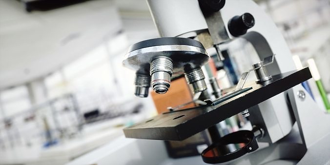 Lab Scene Low-poly 3D model