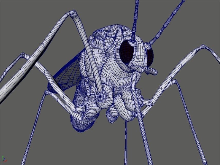 Midge mosquito 3D model_4
