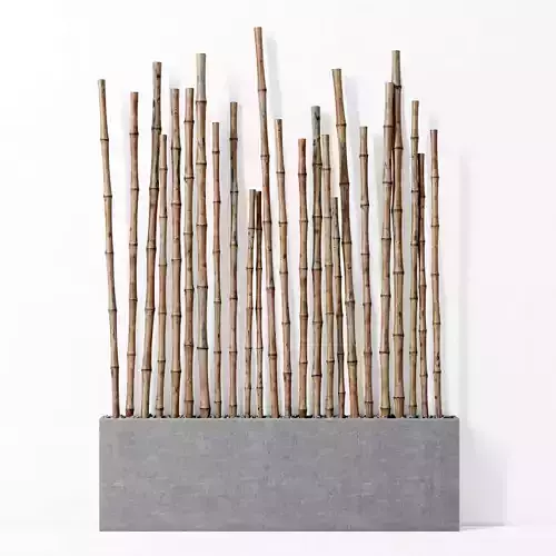 Planter with bamboo