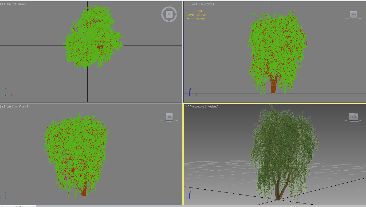 Tree Willow Salix Babylonica 3D model_9