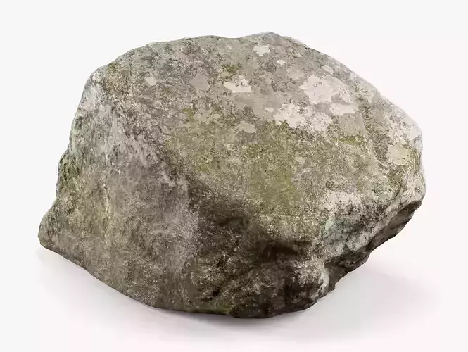 Maine Rock - 8K Scan