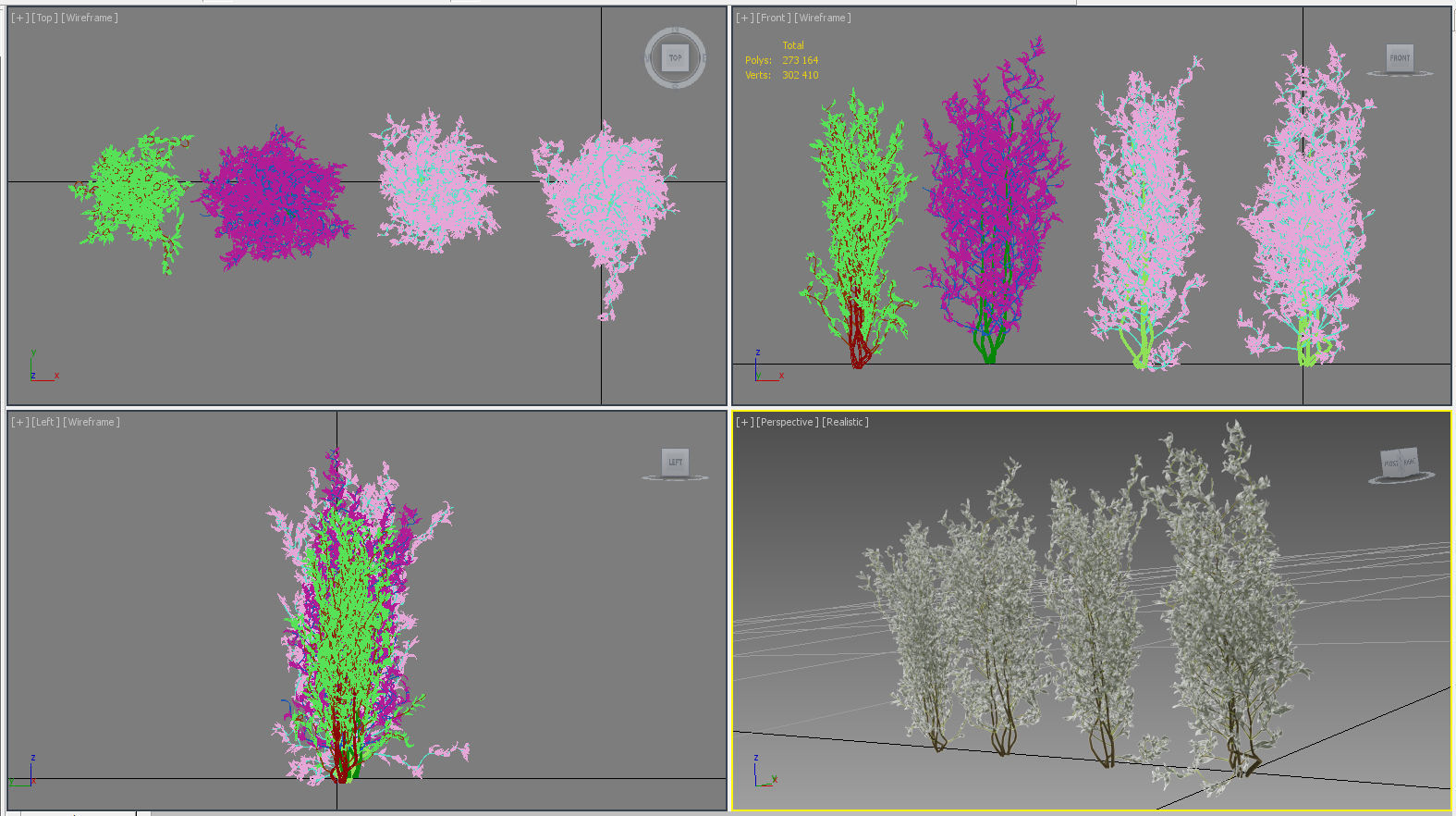 Bush Willow Salix Babylonica 3D model_17