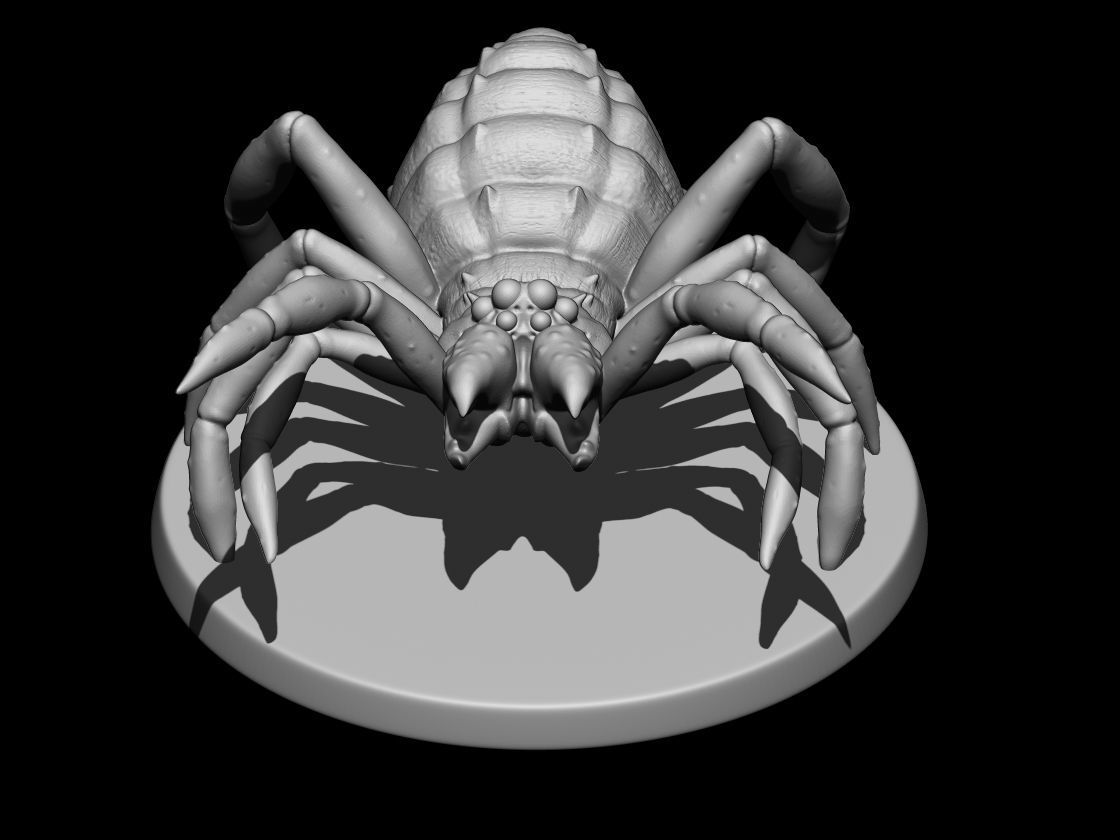 CAMEL SPIDER  3D print model_1