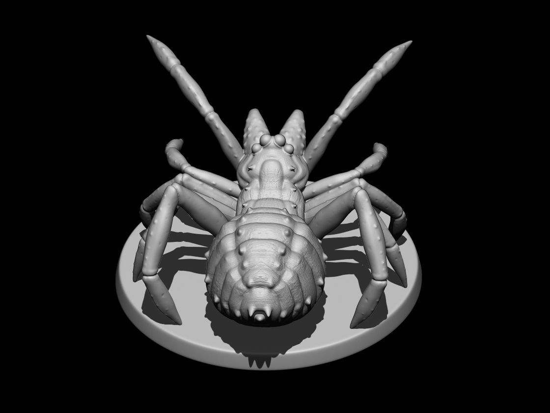 CAMEL SPIDER  3D print model_4