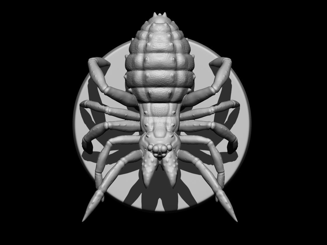 CAMEL SPIDER  3D print model_3